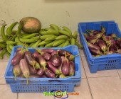 Telenordcomdo00001 Telenordcomdo00001