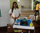 Telenord00019 Telenord00019