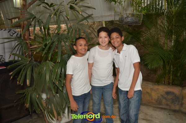 Telenordcomdo00099 Telenordcomdo00099