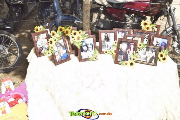 Telenordcomdo00008 Telenordcomdo00008