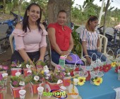 Telenordcomdo00012 Telenordcomdo00012