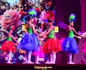 telenord195