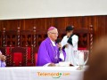 telenord032