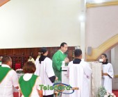 telenord00159 telenord00159