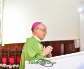 telenord00161 telenord00161