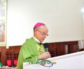telenord00163 telenord00163