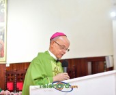 telenord00165 telenord00165
