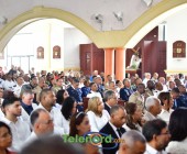 telenord00181 telenord00181