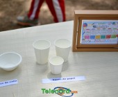 telenord594 telenord594