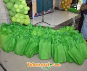 telenord00033