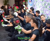 telenord220 telenord220