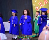 telenord088 telenord088