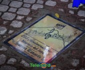 telenord290 telenord290