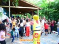 telenord00158