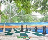 telenord006 telenord006