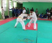 telenord00019 telenord00019