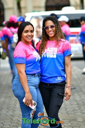 telenord009 telenord009