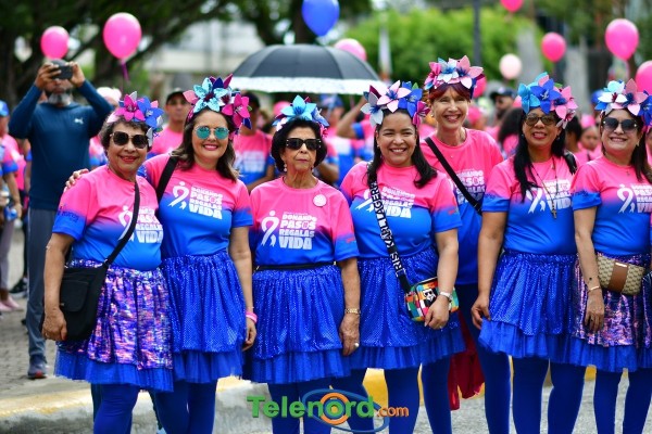 telenord062 telenord062