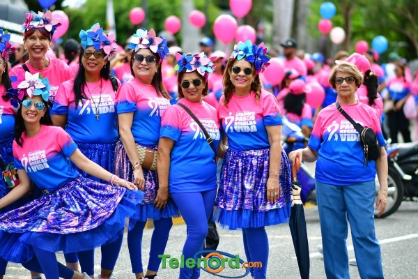 telenord067 telenord067