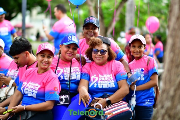 telenord080 telenord080