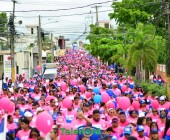 telenord1094 telenord1094