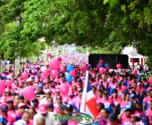 telenord1140 telenord1140