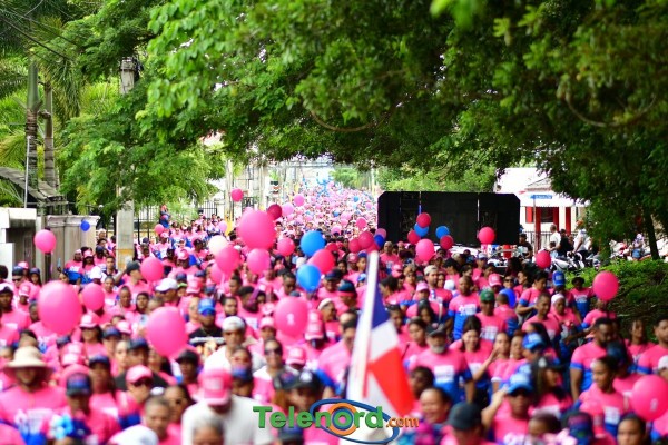 telenord1140 telenord1140