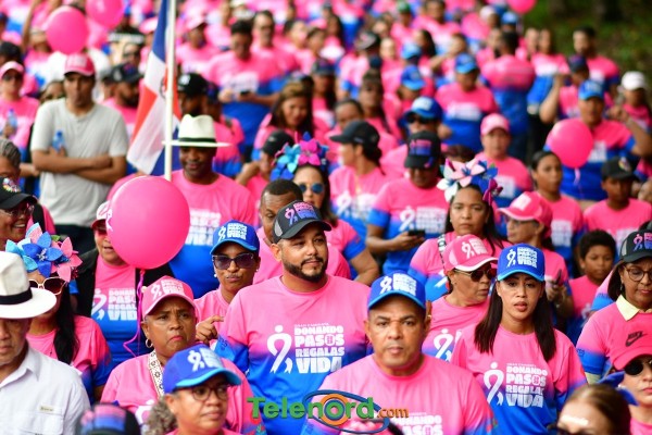 telenord1149 telenord1149