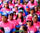 telenord1153 telenord1153