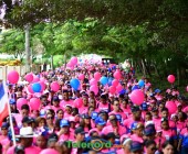 telenord1174 telenord1174