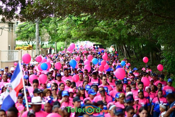 telenord1174 telenord1174