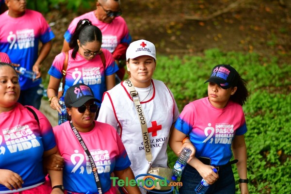 telenord1239 telenord1239