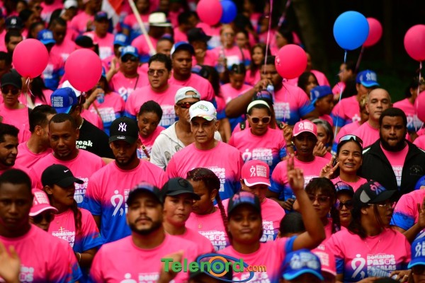 telenord1244 telenord1244