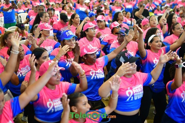 telenord1655 telenord1655