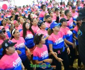 telenord1664 telenord1664