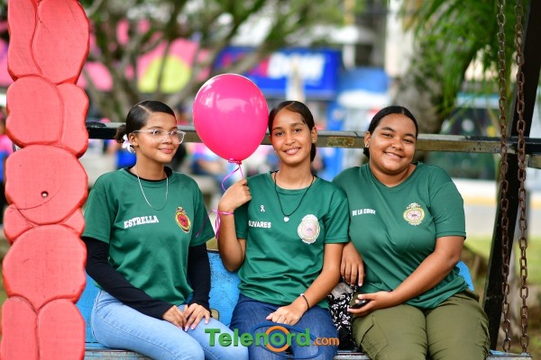 telenord185 telenord185