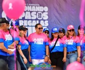 telenord212 telenord212