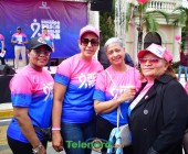 telenord242 telenord242