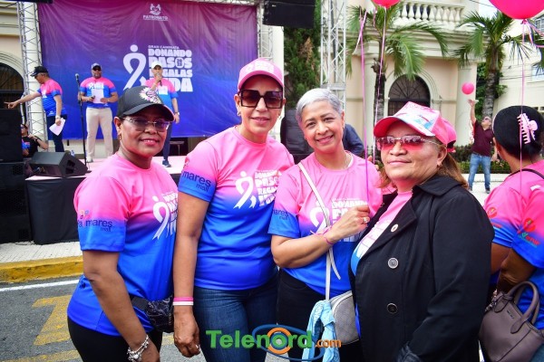 telenord242 telenord242