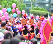 telenord262 telenord262