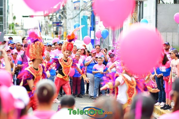 telenord269 telenord269