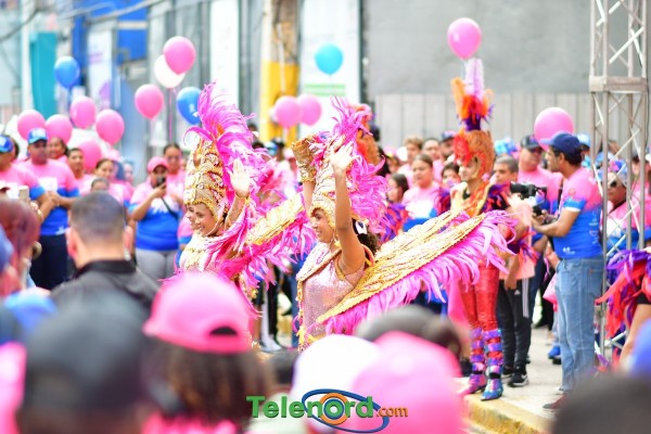 telenord278 telenord278