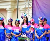 telenord294 telenord294