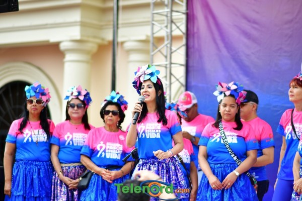 telenord294 telenord294