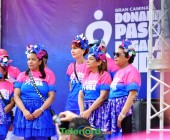 telenord302 telenord302