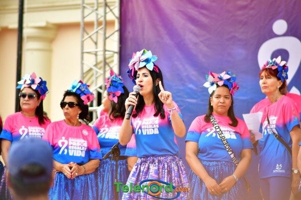 telenord308 telenord308