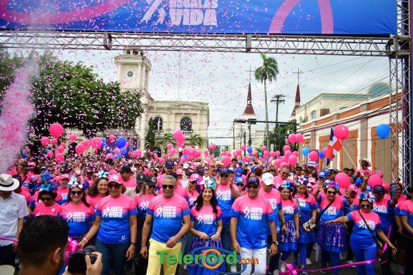 telenord453 telenord453