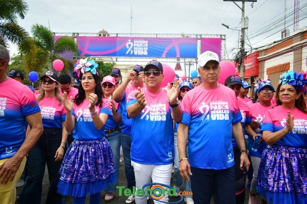 telenord485 telenord485