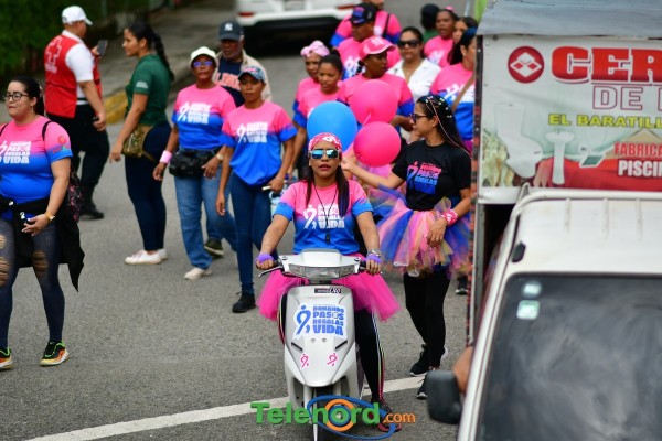 telenord508 telenord508