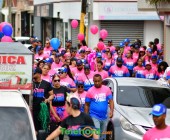 telenord515 telenord515